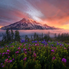 Personal Favorites | Marc Adamus Photography